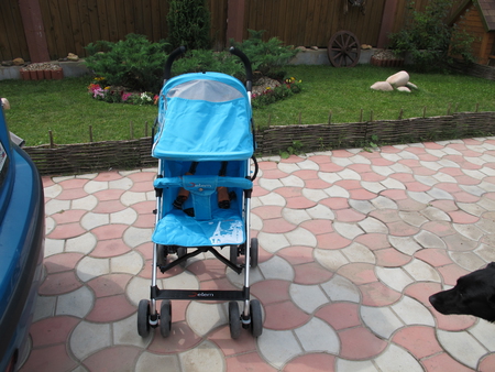 Жетем песня. Детская коляска выдержала мои 60 кг. Жетем видео. Коляска трость беби кеа сити стайл. Коляска jetem graphite.